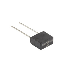 10A 300V Capacitor Type Delay Fuse 
