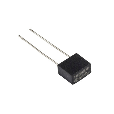 1A 250V Kondansatör Tip Gecikmeli Sigorta - 1