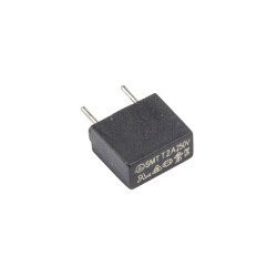 2A 250V Capacitor Type Delay Fuse 