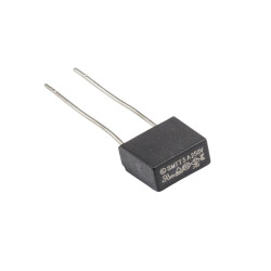 5A 250V Capacitor Type Delay Fuse 