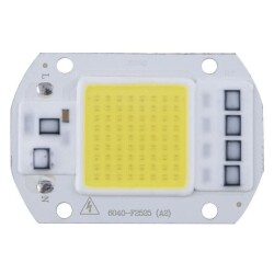 Beyaz 220V Projektör Cob Led 50W Driver Çipli 