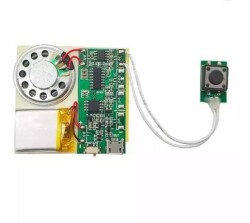 Button Controlled Sound Recording and Playback Module