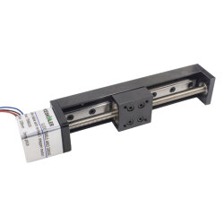 DXG NEMA11 100mm Lineer Hareket Modülü - 2