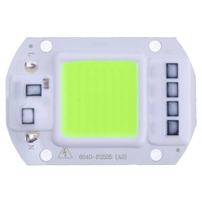 Green 220V Projector Cob Led 50W Driver Chip - 1