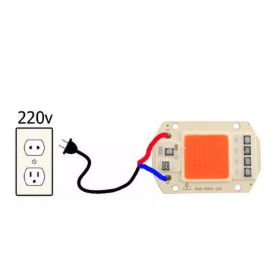 Green 220V Projector Cob Led 50W Driver Chip - 3