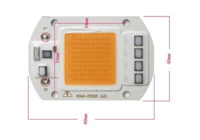 Green 220V Projector Cob Led 50W Driver Chip - 4