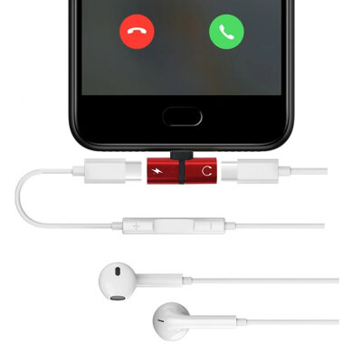 iPhone Lightning Charger and Headphone Jack Converter - 26mm - 2