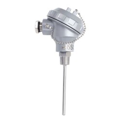 TRPT2-231-8-100-1/2 - 100 mm 2xPT-100 Head Type Thermocouple 