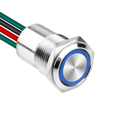 WD16D1-P2Z-E 16mm Düz Anahtarlı Işıklı Kablolu Metal Buton - Mavi - 1