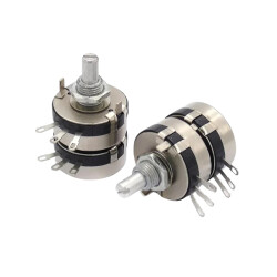 WTH118-2W Double 22K 2W Single Turn Potentiometer - 3